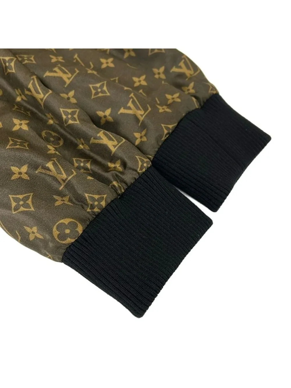 Louis Vuitton category blouson